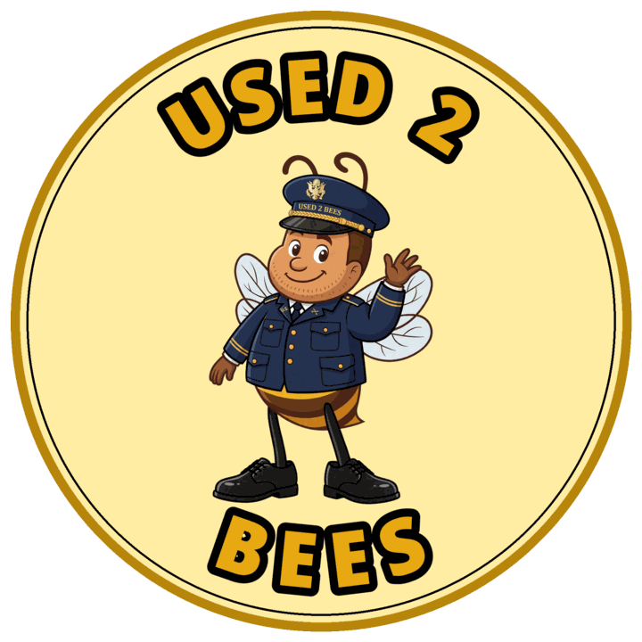 Used 2 Bees circle sticker — Army Dress Officer (Male)