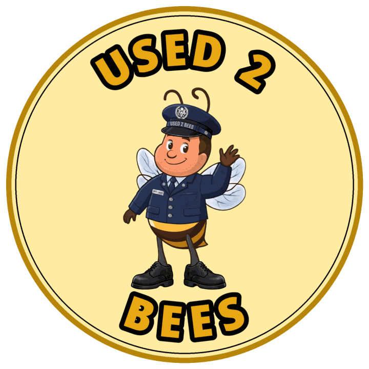 Used 2 Bees circle sticker — Air Force Dress (Male)